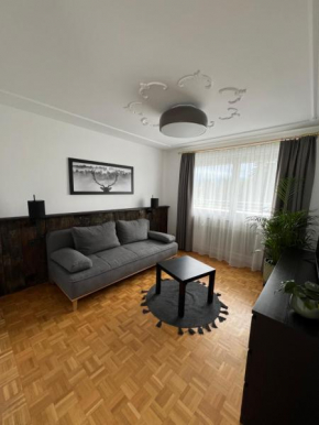 Ferienwohnung über den Dächern von Bregenz